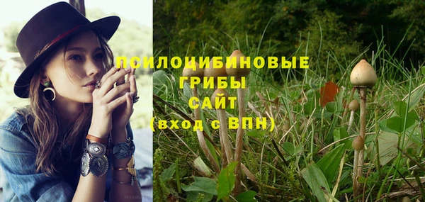 хмурый Лагань