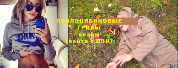 хмурый Лагань