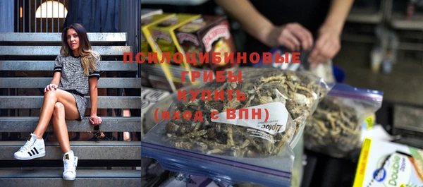 МДПВ Липки